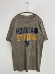 Champion チャンピオン Tシャツ/カットソー M グレー 前面プリント ブランドロゴ ミドル丈 半袖 クルーネック(丸首) メンズ レディース