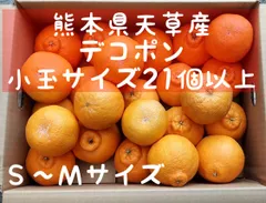 【送料無料】 熊本県 天草産 デコポン 不知火 5kg 小玉サイズ 21個以上　お子様にも大人気😋のサムネイル