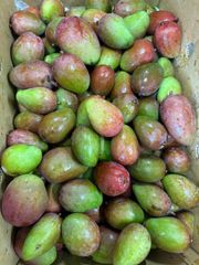 大容量10Kg 青マンゴー（摘果マンゴー）沖縄産 Green Mango - メルカリ