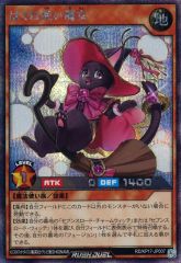 ゆ*ぽ様 MTG マジックザギャザリング 旧枠 まとめ売り ほぼレア 中古】マジックザギャザリング 0483[P]：【FIC】【プロモ】【FOIL