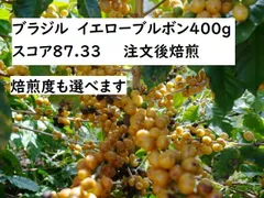 品質に問題ありませんが訳あり超特価☆400g☆注文後焙煎☆スコア87.33☆ブラジル☆コンテスト出品ロット☆イエローブルボン☆のサムネイル