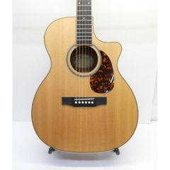 ⭐激レア⭐縦ロゴMartin GPC PA1 Plus 2010製 - メルカリ