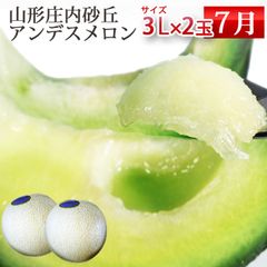 121糖度18度以上！茨城県旭村産プレミアムメロン極アンデス3Lサイズ1箱4玉入 121糖度18度以上！茨城県旭村産プレミアムメロン極アンデス3Lサイズ1箱