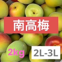 和歌山県産 紀州 南高梅♪ 2L〜3L 2キロ（箱込）梅酒 ジュースに