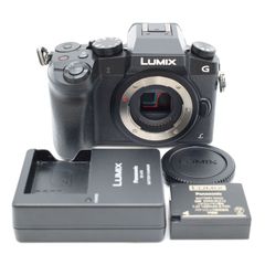 ⭐️うっかりパンダ様専用【未開封・希少】LOMO MC-A ロモ フィルム