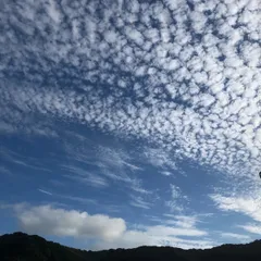 yu様専用★のサムネイル