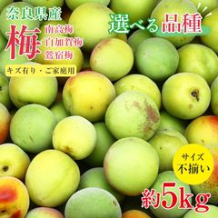 和歌山 完熟 紅 鶯宿梅 梅 クール便 5kg - メルカリ