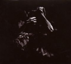 LP 踊ってばかりの国 光の中に HRLP200/201 レコード アナログ盤