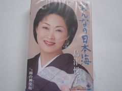 検聴合格】 希少盤・日野てる子「海ほうずきの想い出/いつか来た道」EP