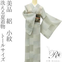 上質な洗える夏・絽】小紋格子にとんぼ柄・薄水色寄りグレー系・化繊