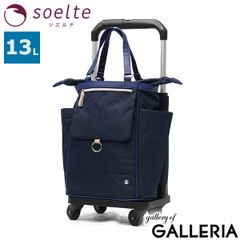 ☆極美品☆ ABISTE アビステ 4輪ソフトキャリーバッグ 46L 機内持込可