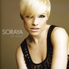 柴田聡子 2011、夏のデモCD-R 自主制作盤 - メルカリ