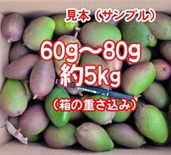 摘果マンゴー8kg 20〜250g訳あり - メルカリ