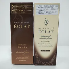 F3283 ヘアボーテエクラ ボタニカル エアカラーフォーム ダークブラウン・EX 80g 計2点セットのサムネイル