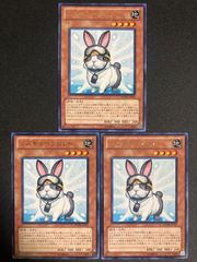 遊戯王OCG レスキューラビット コレクターズレア含む3枚セット - メルカリ