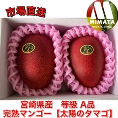 完熟マンゴー 家庭用2.6キロ - メルカリ