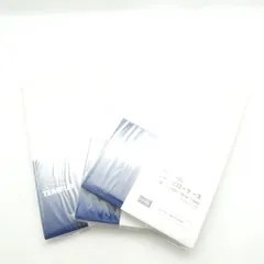 未使用 TEMPUR テンピュール スムースピローケース 3点 コットン100％ 枕カバー AM8872A96 のサムネイル