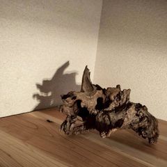 大迫力 天然木 流木 置物 インテリア 横70cm×高さ35cm×奥行50cm - メルカリ