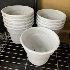 【20個セット】APポット 7号 植木鉢 ミカゲ調 プラ鉢 観葉植物用のサムネイル