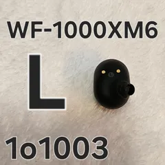 SONY WF-1000XM6 左耳のみ