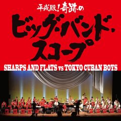 beat sunset 大きな嘘 赤城山 レア盤 ジャパニーズスカ - メルカリ