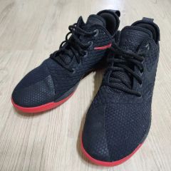 28cm ナイキ ズーム レブロン フェイズ バッシュ 白 カーキ US10