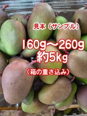 限定品》摘果 未熟 加工用 マンゴー/ 約1.1㎏〈約40g～80g〉 - メルカリ