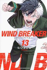 WIND BREAKER(13) (주간 소년 매거진)/에 사토루
