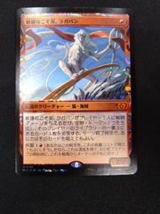 MTG 吸血の教示者 FOIL フルアートボーダーレス 日本語版 CMR ①