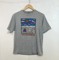 patagonia (S) キャプリーンクールデイリー ロゴTシャツ 45235SP20 パタゴニア グレー 半袖 スリランカ製 K5-122