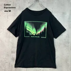Cotton Expressions コットンエクスプレッション M 希少 AURORA BOREALIS オーロラ ボレアリス 北極光 サイエンス 科学 自然 現象 アート 半袖 プリント Tシャツ カットソー トップス ブラック 黒 ★ ■◆のサムネイル