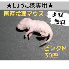 ☆れん様専用☆国産冷凍マウスホッパー40匹 - メルカリ