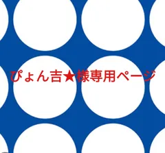 ぴょん吉★様専用ページです。