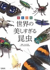 ビジュアル博物館 蝶と蛾 馬 図鑑 同朋舎出版 - メルカリ