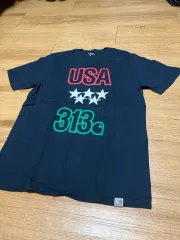 カーハート WIP USA Tシャツ