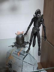 HALLOWEEN ネカ NECA 豆魚雷 ハロウィン2 - メルカリ