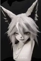 2026年最新】着ぐるみ ケモノ ヘッドの人気アイテム - メルカリ