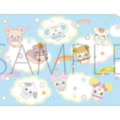 [중고] 클리어 파일 집합 A4 클리어 파일 [Puchikua ~ Precure Fairies ~]