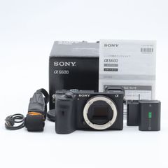 Sony　α6100　ダブルズームキット　元箱あり Sony α6100 ダブルズームキット 元箱あり - メルカリ