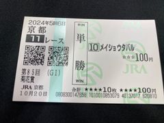 現地購入的中馬券　ビワハヤヒデ　菊花賞 現地購入的中馬券 ビワハヤヒデ 菊花賞 - メルカリ