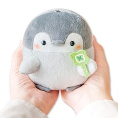 신품 조이 팔레트(JOYPALETTE)의 히라다코!