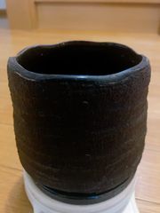 木製植木鉢 ichigu（検）陶器鉢 作家鉢 ユーフォルビアパキポディウ厶