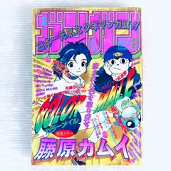 武内直子 とき☆めか！ 希少 コミックス未収録 切り抜き - メルカリ