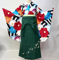 二尺袖 着物 袴フルセット bonheur saisons ボヌールセゾン 着物丈はショート丈 黒×白 袴変更可能 NO43424のサムネイル