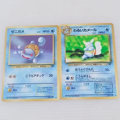 ゼニガメ カメール イントロパック - メルカリ