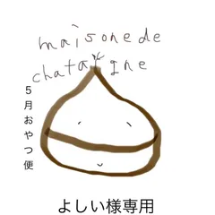 よしい様専用　おやつ便　シフォンケーキサンド　チーズケーキ　テリーヌ