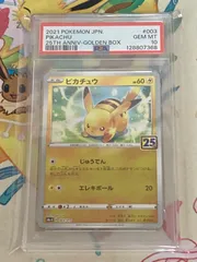2026年最新】ピカチュウ 25th ゴールデンの人気アイテム - メルカリ