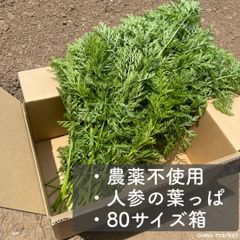 農薬不使用　乾燥人参の葉っぱ　80サイズ 翌日配達エリア限定＊地域お知らせ下さい◎農薬不使用にんじん葉80