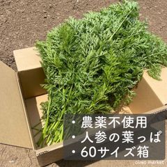 人参葉たっぷり80サイズに1.2kg無農薬佐賀産 - メルカリ