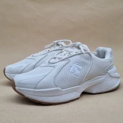 希少 DESCENTE ✖️ファイテン✖️ミシュランランニングシューズ 27